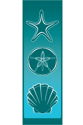 Seashells - Kalamazoo Banner Works