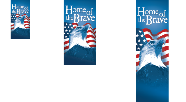 Brave Eagle - Image 2