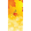 Autumn Breeze