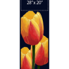 Realistic Tulips