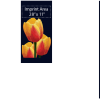 Realistic Tulips - Image 3
