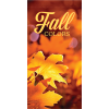 Fall Image - Image 3